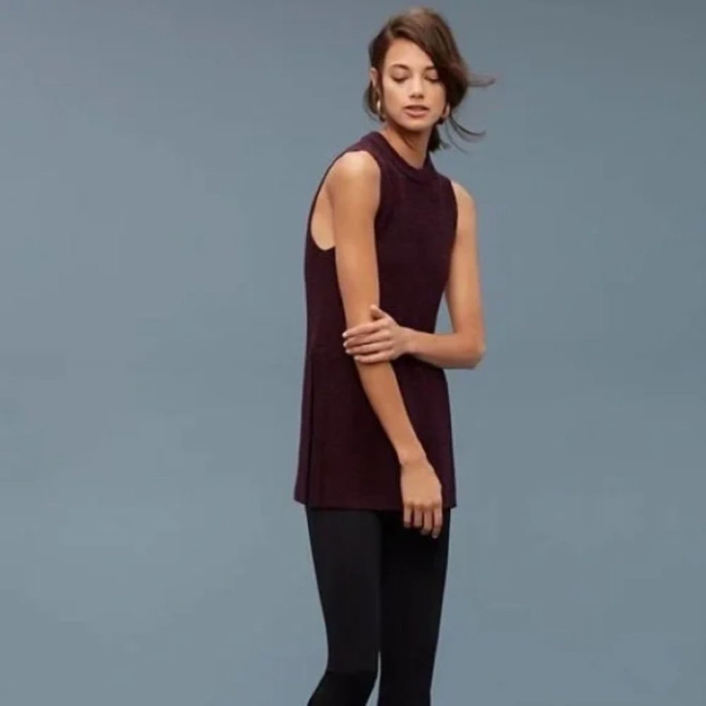 Aritzia palmier sweater sleeveless tunic